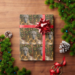 Kerst Ierse Wolfshond in lichten verstrikt Cadeaupapier