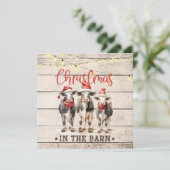 Kerst in de Schuur Koeien Dragen Santa Hats Kaart (Staand voorkant)