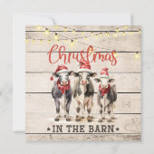 Kerst in de Schuur Koeien Dragen Santa Hats Kaart (Voorkant)
