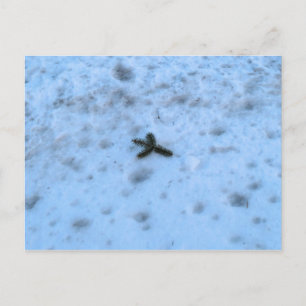 Kerst in New England Feestdagenkaart