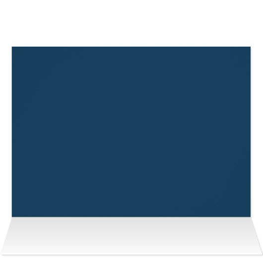 Kerst in New York City (Binnen Horizontaal (Boven))