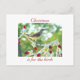 Kerst is voor de vogels feestdagenkaart