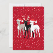 Kerst Italiaans Greyhounds Flat Vakantie Kaart (Achterkant)