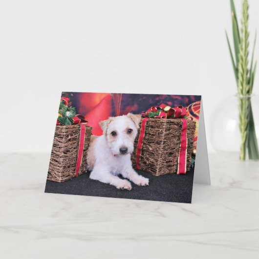 Kerst - Jack Russell - Wiley Feestdagen Kaart (Voorkant)