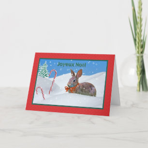 Kerst, Joyeux Noël, Frans, Konijn, Sneeuw, Kaart