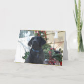 Kerst Kaart ~ Labrador Retriever (Voorkant)