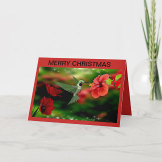 Kerst Kaart met een kolibrie