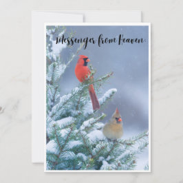 Kerst Kaart met een Rode Kardinaal