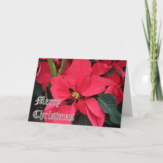 Kerst Kaart met Poinsettias en vrolijk kerstfeest (Voorkant)