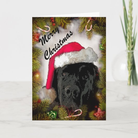 Kerst Kaart ~ Newfoundland Dog (Voorkant)