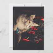 Kerst Kaart Titiyo V3 (Voorkant)