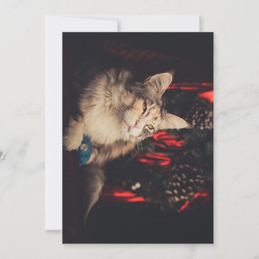 Kerst Kaart Titiyo V3 (Voorkant)