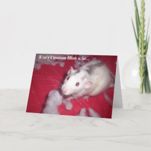 Kerst Kaart VOOR uw huisdier ratten!