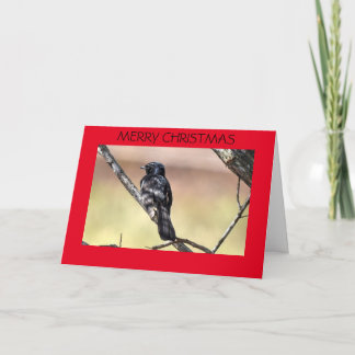 KERST KAART WILLIE WAGTAIL AUSTRALIË