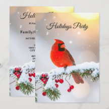 Kerst Kardinaal Rode Vogels Bloem Vakantie Feest