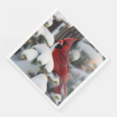 Kerst Kardinaal Servet (Hoek)