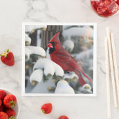 Kerst Kardinaal Servet (Insitu)