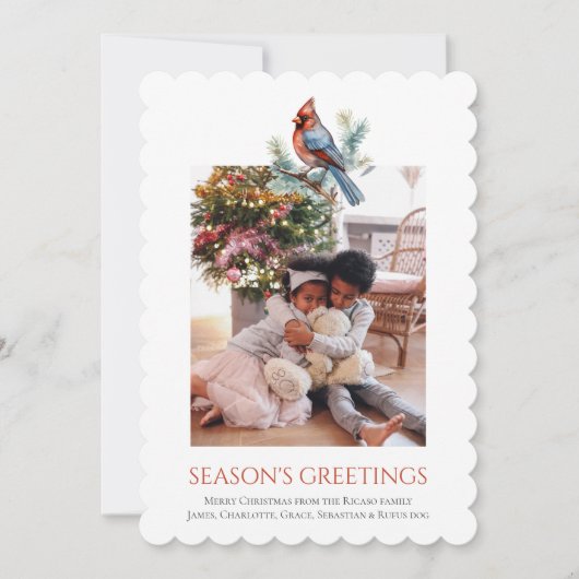 Kerst Kardinaal Vogel Fotosjabloon Feestdagenkaart (Voorkant)