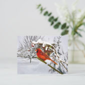 Kerst, Kardinaal Vogel, Sneeuw, Briefkaart (Staand voorkant)