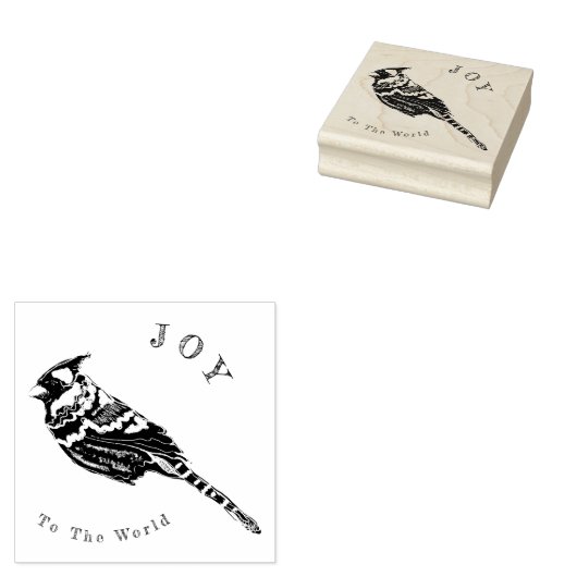 Kerst Kardinaal~ Woorden of Geen Woorden~ Personal Rubberstempel (Gestempeld)