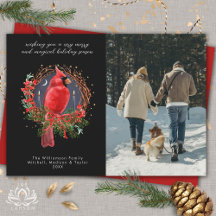 Kerst Kardinaal Yule Zonnewende Vakantiefoto