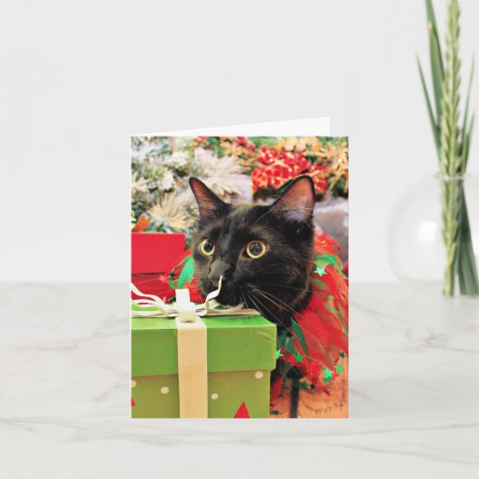 Kerst - Kat - Bentley Feestdagen Kaart (Voorkant)