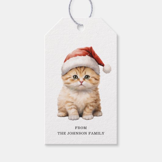 Kerst Kat Cadeau Labels Cadeaulabel (Voorkant)