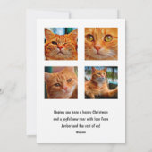 Kerst kat foto collage feestdagenkaart (Achterkant)