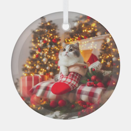 Kerst Kat Glas Ornament (Voorkant)