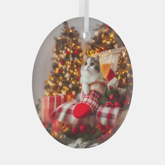 Kerst Kat Glas Ornament (Voorkant Rechts)