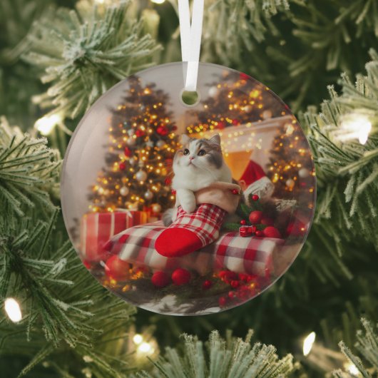 Kerst Kat Glas Ornament (Insitu)