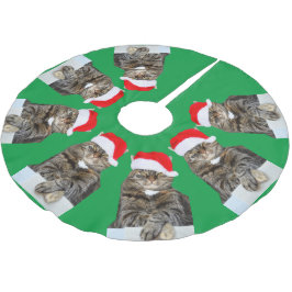 Kerst Kat Humbug Foto Boom Rok Kerstboom Rok