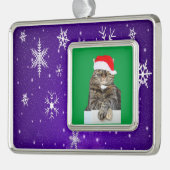 Kerst Kat Humbug & Sneeuw Foto ingelijst Ornament (Links)