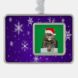 Kerst Kat Humbug & Sneeuw Foto ingelijst Ornament