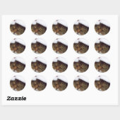 Kerst kat stickers (Vel)