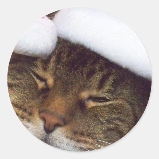 Kerst kat stickers (Voorkant)