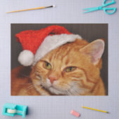 Kerst kat tissuepapier (Craft)