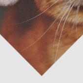 Kerst kat tissuepapier (Detail)