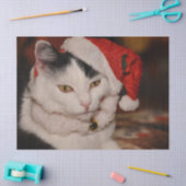 Kerst kat tissuepapier (Craft)