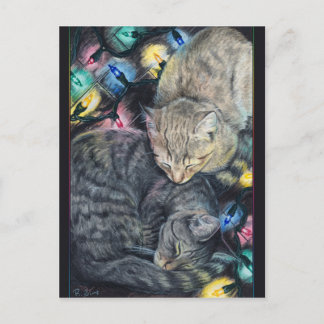 Kerst Katten Briefkaart