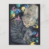 Kerst Katten Briefkaart (Voorkant)