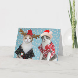  kerst katten feestdagen kaart
