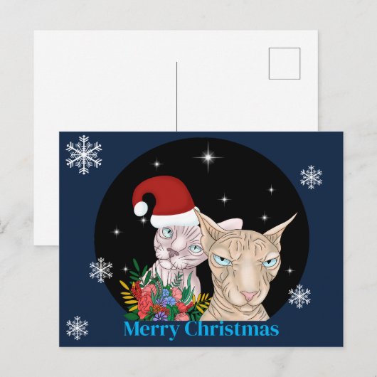 Kerst Katten onder de sterrenhemel Briefkaart (Voorkant / Achterkant)