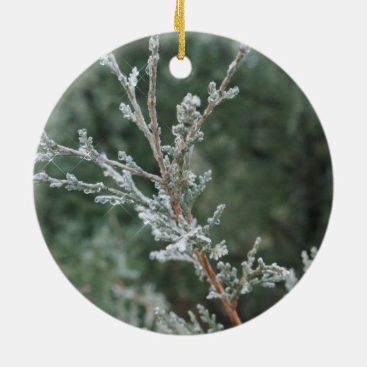 Kerst-keramisch keramisch keramisch zeenbeen ornament (Achterkant)