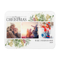 Kerst-kerstgouden winter Botanische foto-ingang