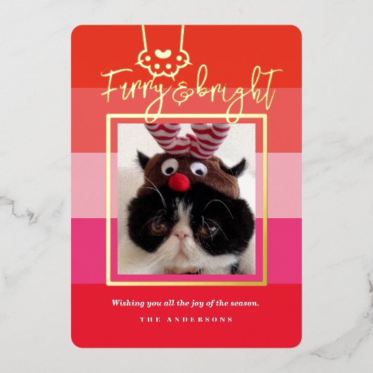 Kerst Kersthuis & Felicitatiehuis Dierentuin Foto  Folie Feestdagenkaart (Voorkant)