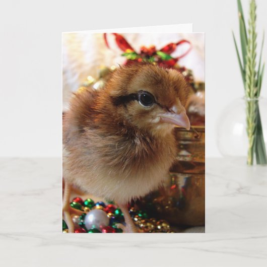 Kerst Kerstkuiken  Feestdagen Kaart (Voorkant)