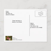 Kerst-kerstversiering in Gingerbrood Dank u Briefk Briefkaart (Achterkant)