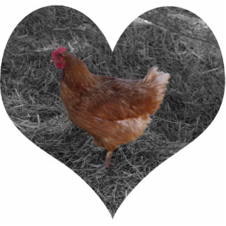 Kerst-kerstversiering met een gebroken kip fotobeeldje ornament