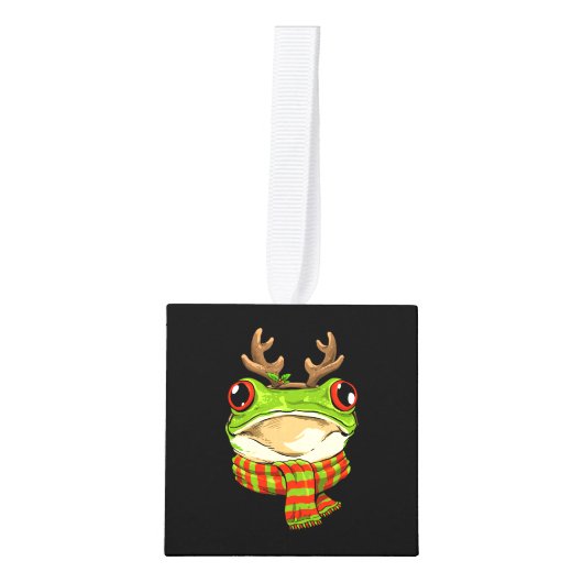 Kerst Kikker Toad Kerstman Rendier Xmas Decoratie (Voorkant)